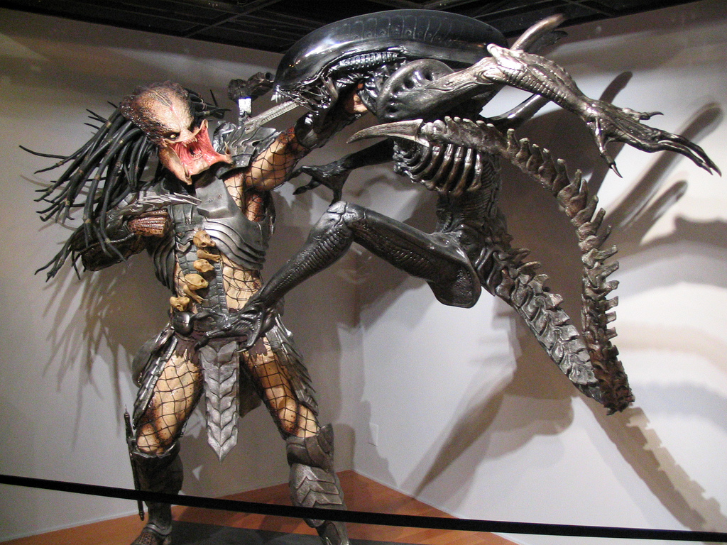 Alien vs. predator